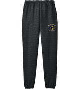 Delaware Jr. Blue Hens NuBlend Sweatpant with Pockets