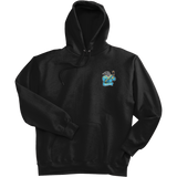 Atlantic City Seals Ultimate Cotton - Pullover Hooded Sweatshirt