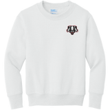 Scary Badgers Youth Core Fleece Crewneck Sweatshirt